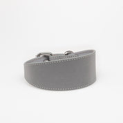 Collar de Perro Ancho Reflectante en Plata