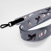 Correa para Bolsa de Galgo