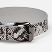 Collar de Perro Serpiente Delgado