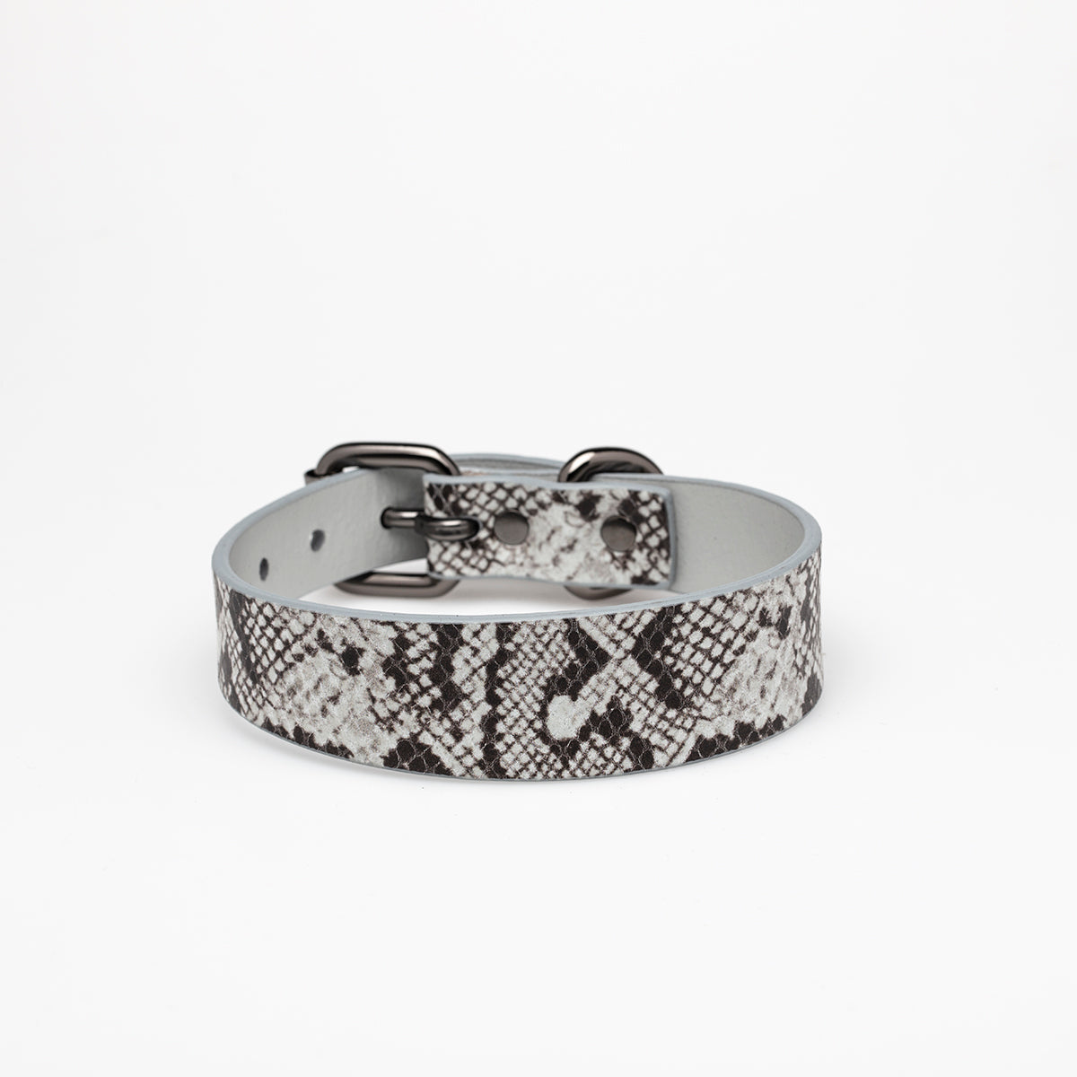 Collar de Perro Serpiente Delgado