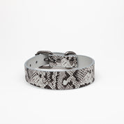 Collar de Perro Serpiente Delgado