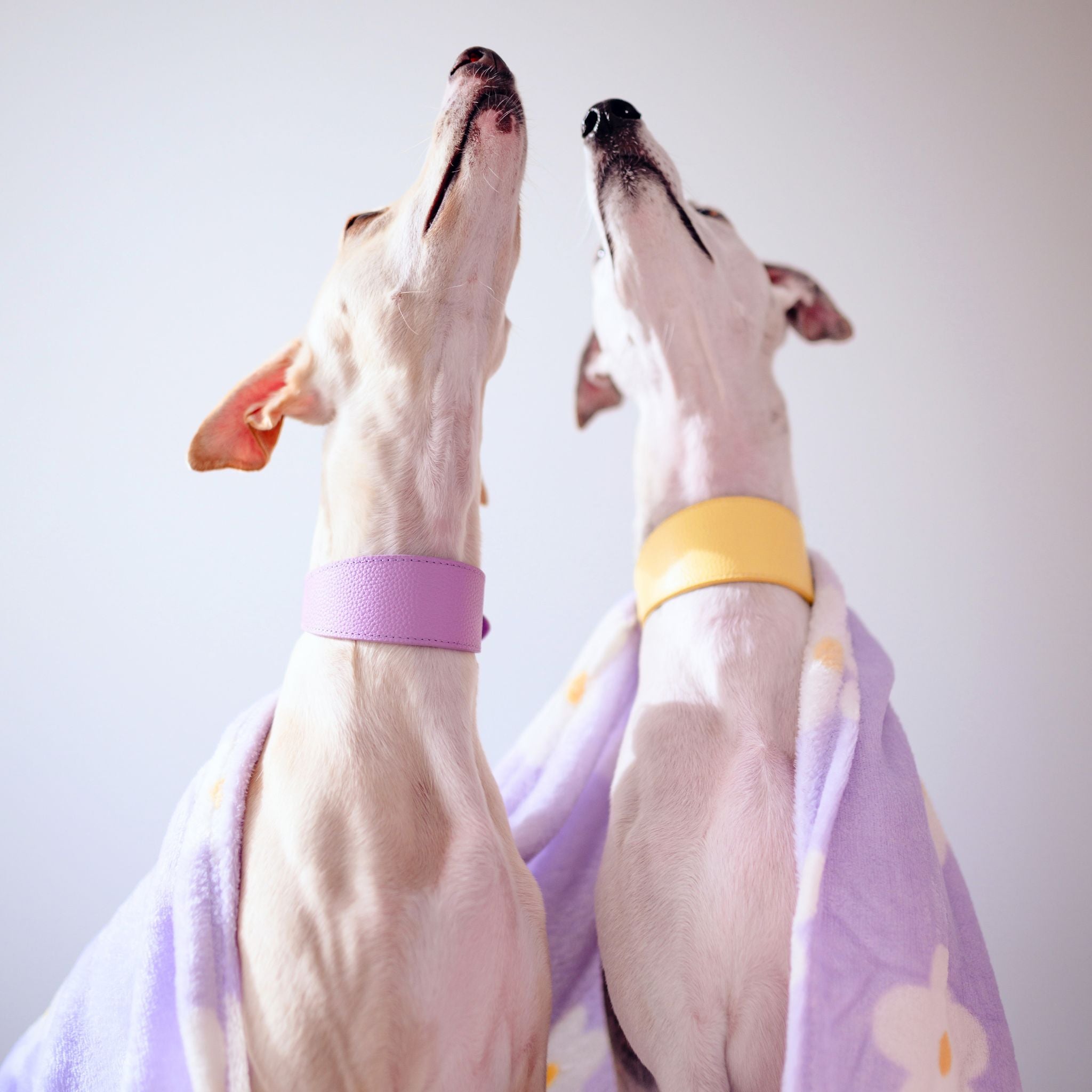 spring-look-violet-pastel-yellow.jpg
