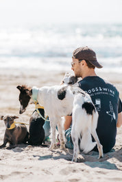 Camiseta Negra - Dogs & Wine Make Everything Fine