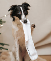 Calcetines de tubo blanco - The Dogfather