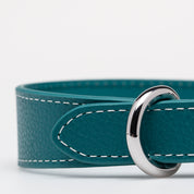 Collar de Perro Turquesa Delgado