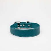 Collar de Perro Turquesa Delgado