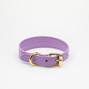 Violet Croco Collar de Perro Delgado