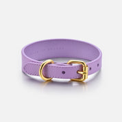 Collar fino para perro Violeta