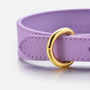 Collar fino para perro Violeta