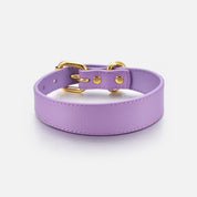 Collar fino para perro Violeta