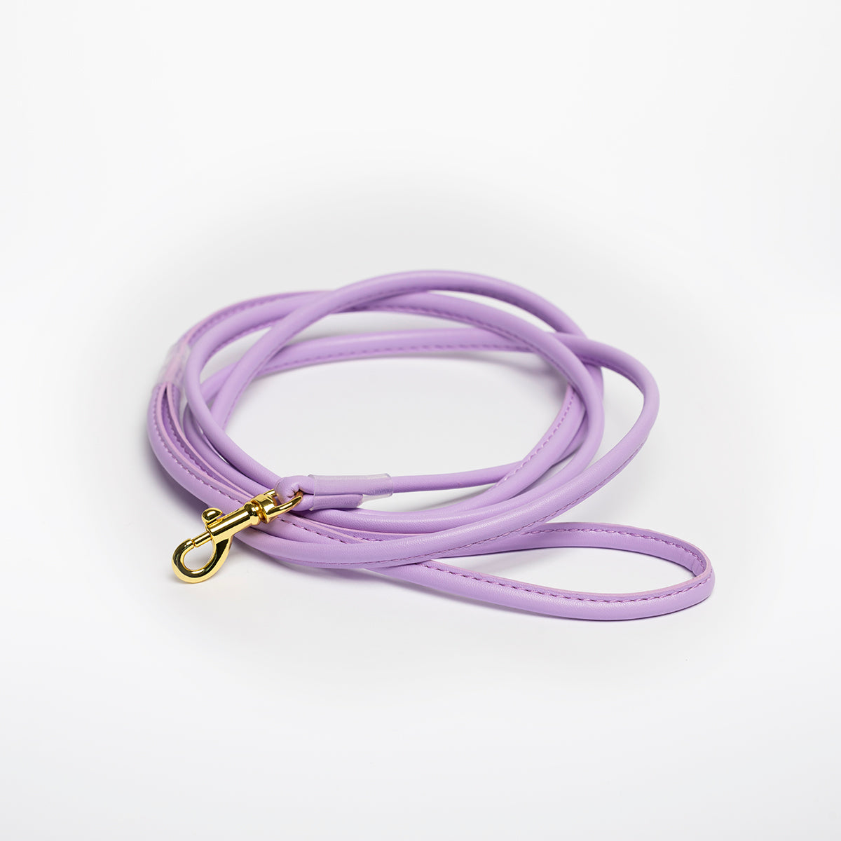 Correa para perro violeta.