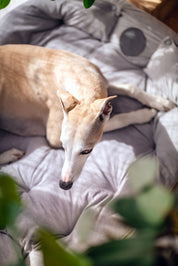 Cama de Perro Gris 3 en 1