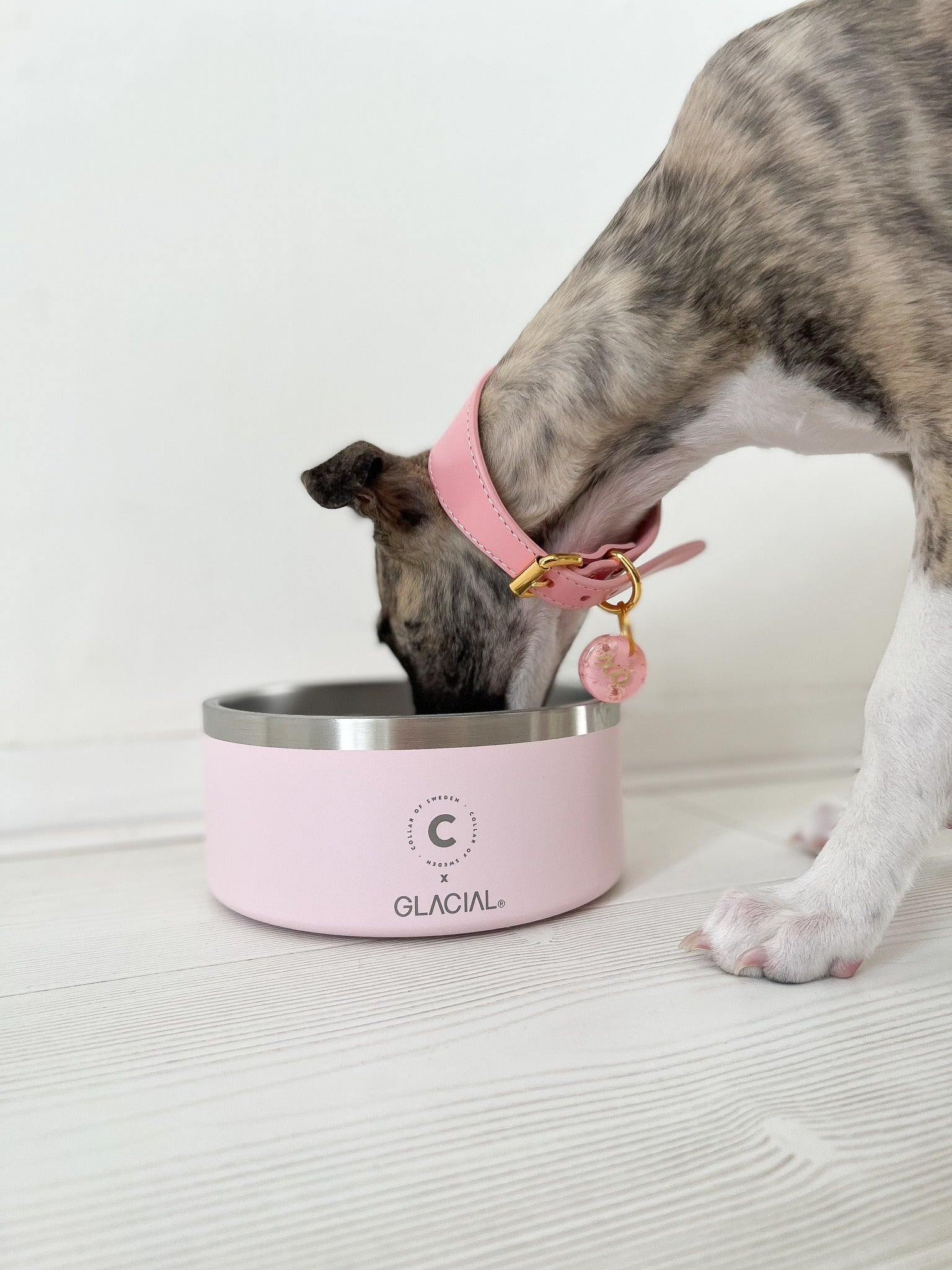 Tazón para Perro en Rosa Claro
