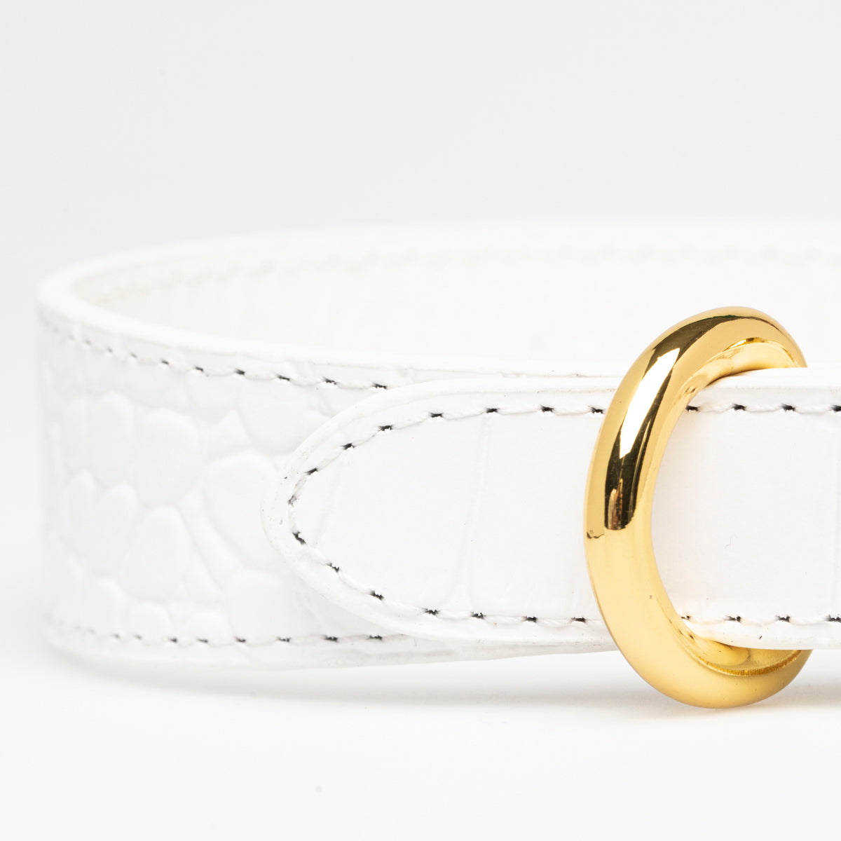 Collar de Perro Blanco de Cocodrilo Delgado