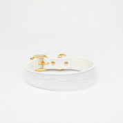 Collar de Perro Blanco de Cocodrilo Delgado