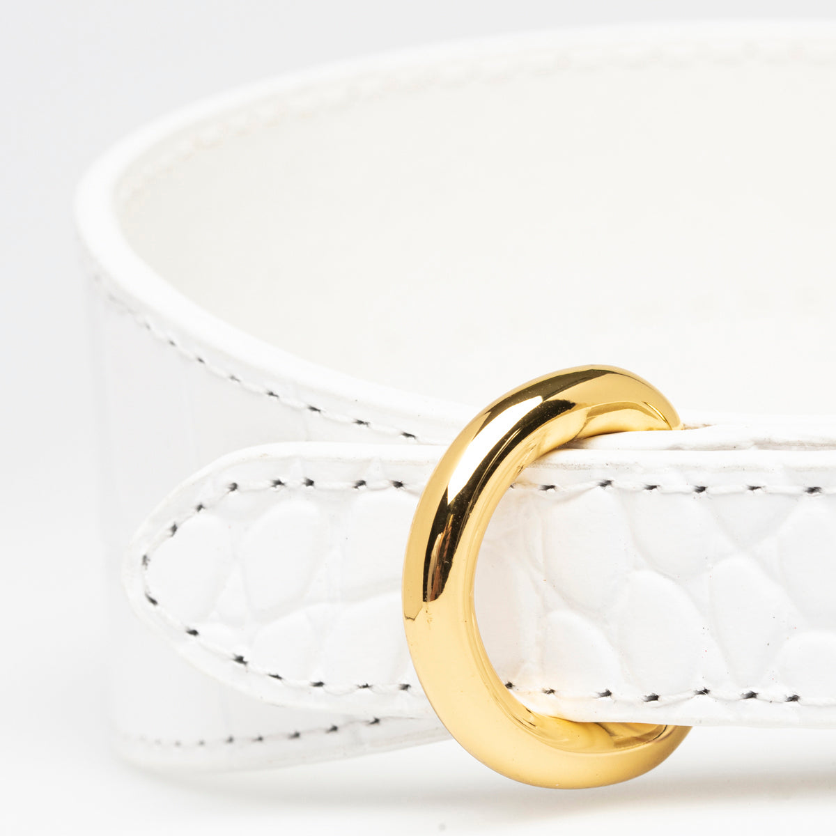 Collar de perro blanco de cocodrilo ancho