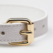 Collar Blanco para Perro Delgado