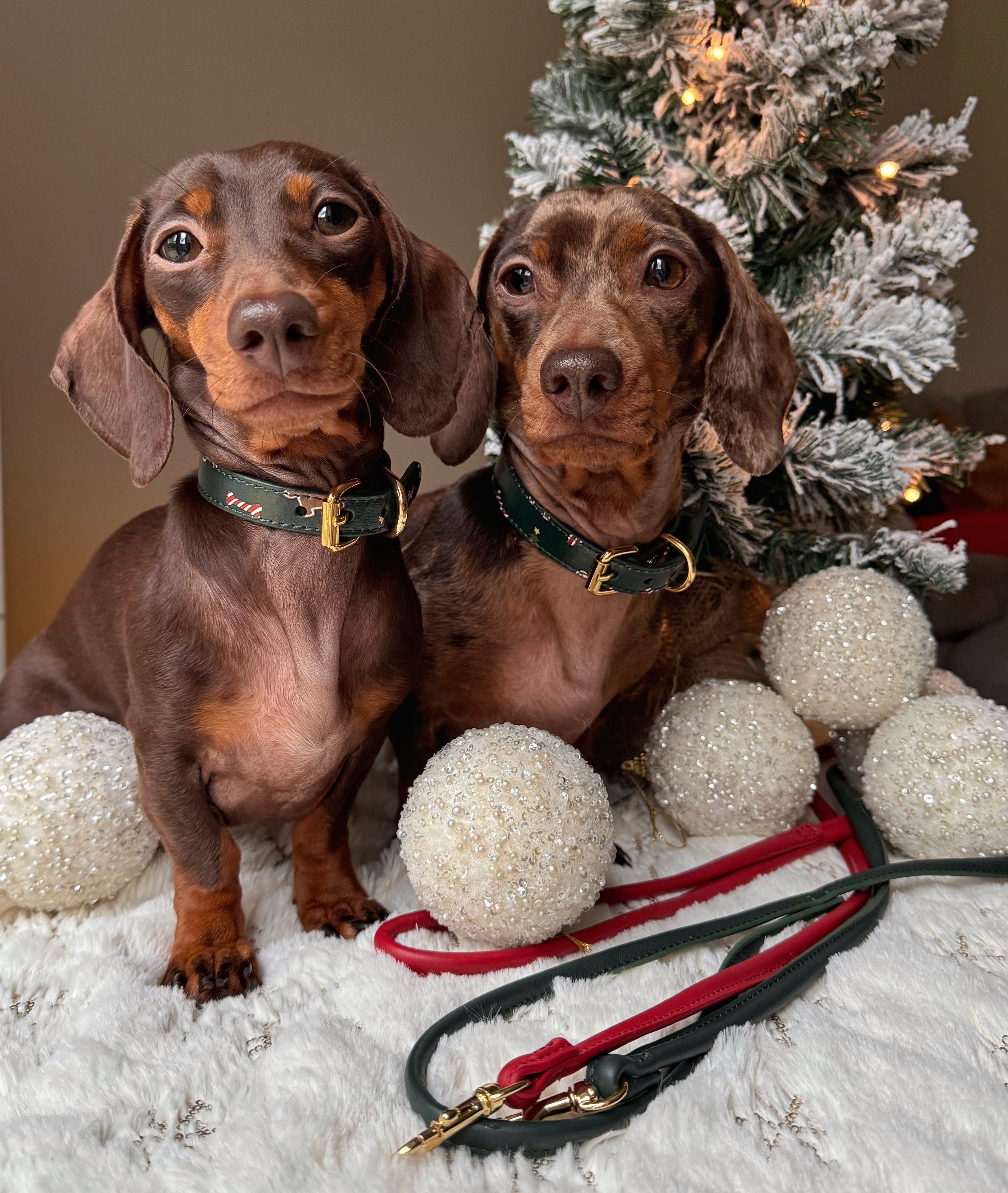 Collar fino de Navidad para perro